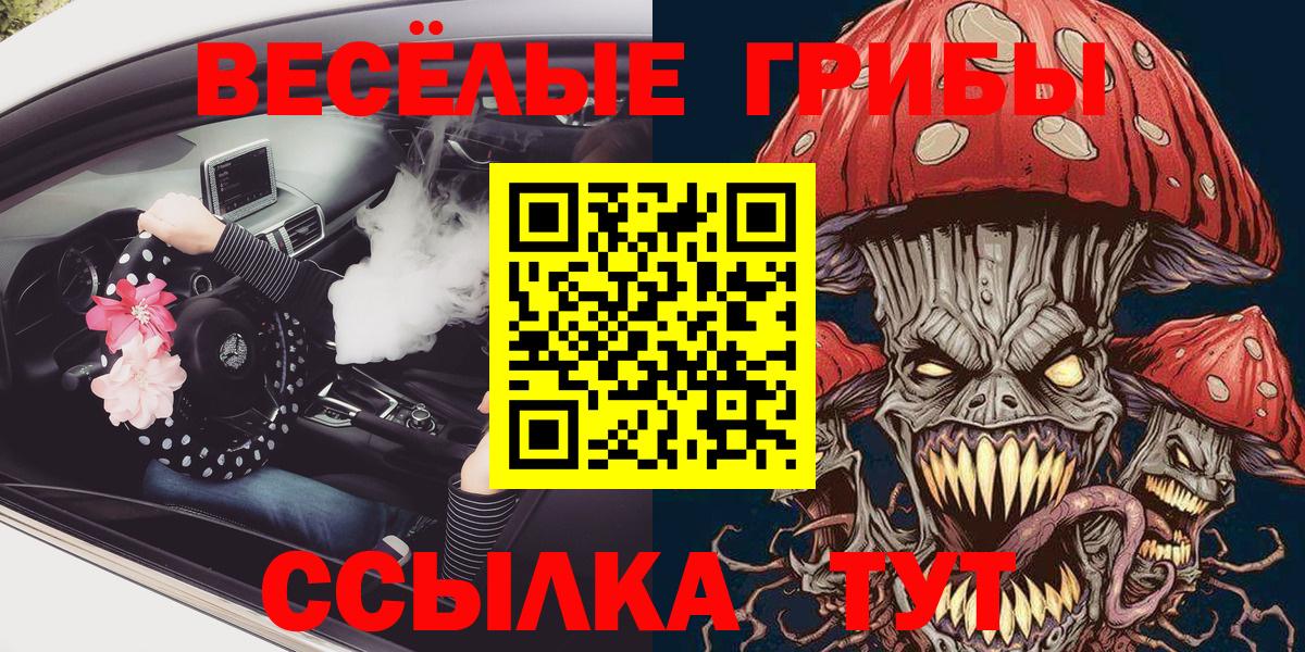 Новоалександровск  Псилоцибиновые грибы Psilocybe  Вход с VPN 