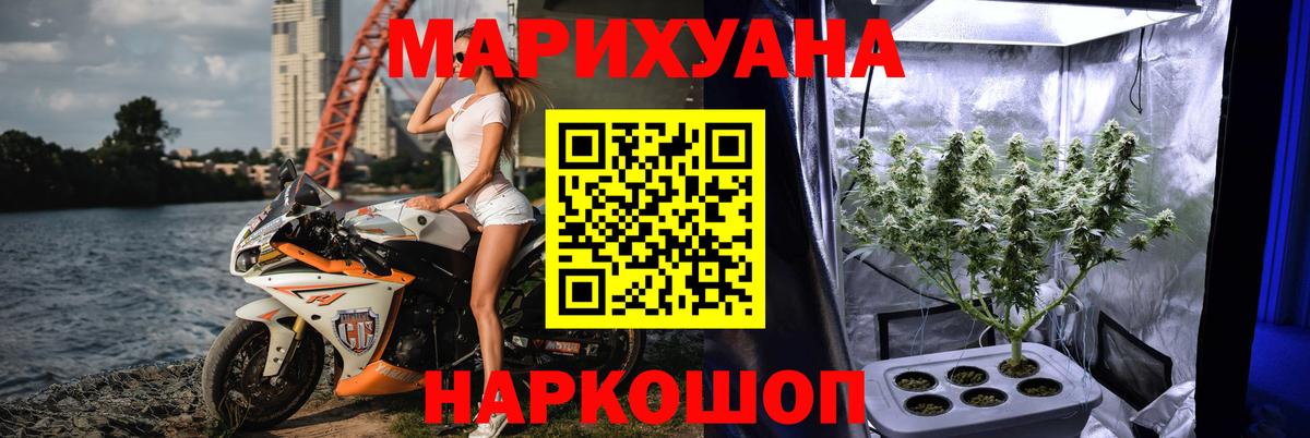 Бошки Шишки марихуана  Канабис семена  Вход с VPN  Каннабис Amnesia  Новоалександровск  Марихуана White Widow 